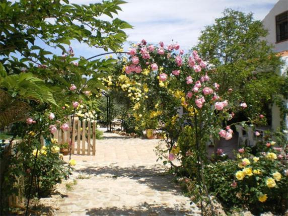 Pozo Alcón Casas Rurales Cazorla-Alcon الغرفة الصورة