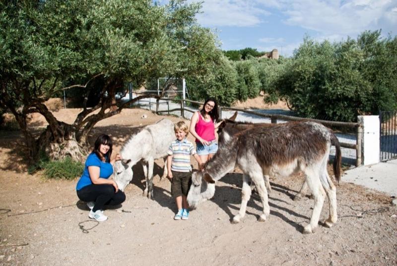 Pozo Alcón Casas Rurales Cazorla-Alcon المظهر الخارجي الصورة